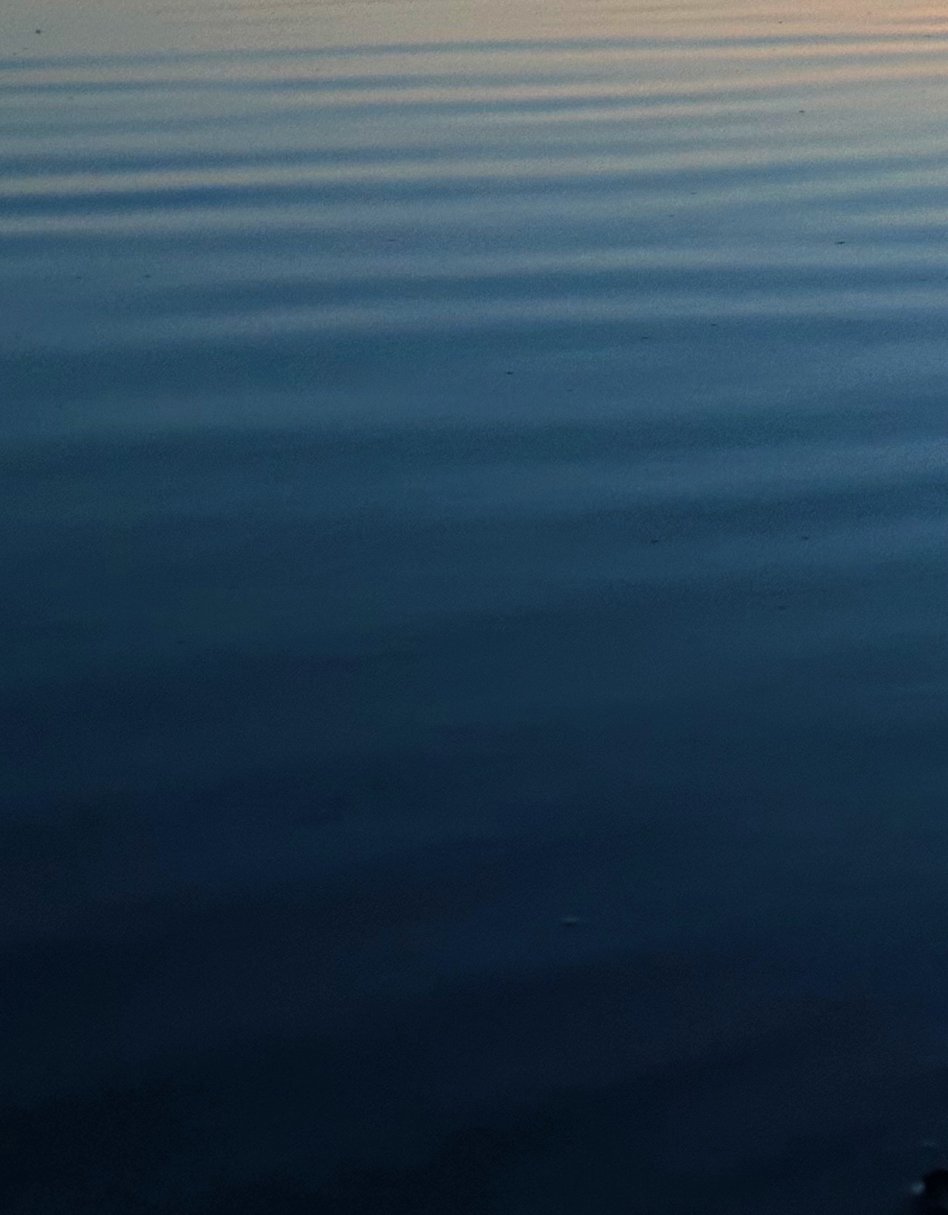 Archive Image 10