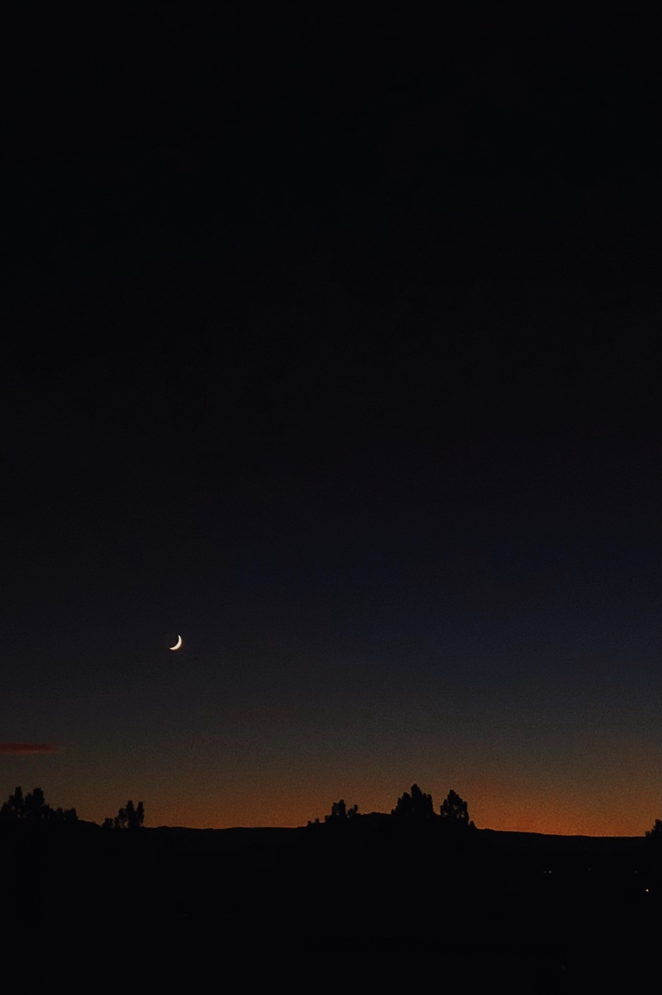 Archive Image 12